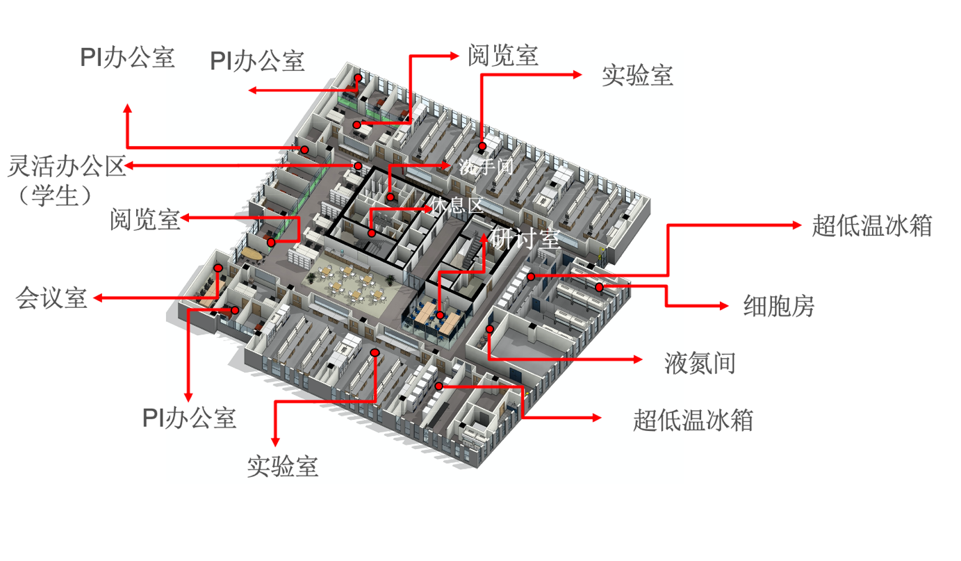 BIM大赛获奖案例—上海交通大学医学院附属仁济医院科研综合楼暨上海市肿瘤研究所整体迁建工程